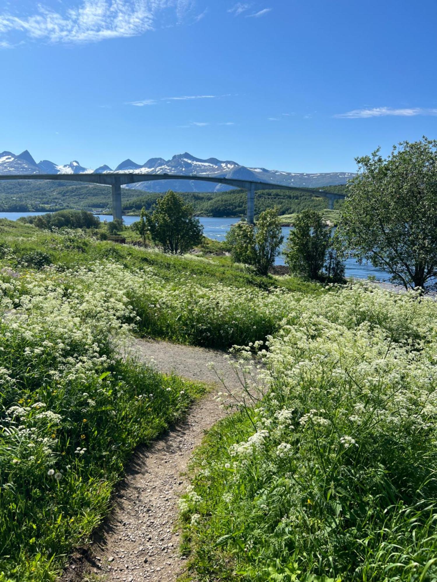Saltstraumen Hotels Hytter Knapplund Esterno foto